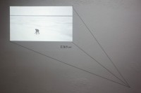 https://salonuldeproiecte.ro/files/gimgs/th-46_36_ Anca Benera și Arnold Estefan - Principiul echitabilității, 2012 – Installation - rope drawing on the wall, watermarked panel - Video, 5m23s.jpg